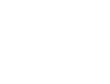 Seeds of Colour